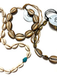 Cowrie Shells